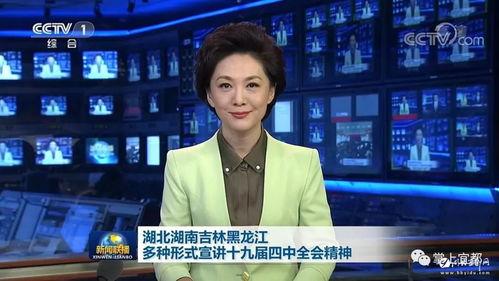 宜都爆料新闻视频播放,视频揭秘事件真相，引发网友热议  第3张