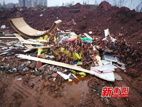 衡阳新闻爆料,突发事件引发关注，最新进展情况揭晓